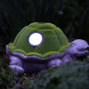 Turtle with Solar Light
